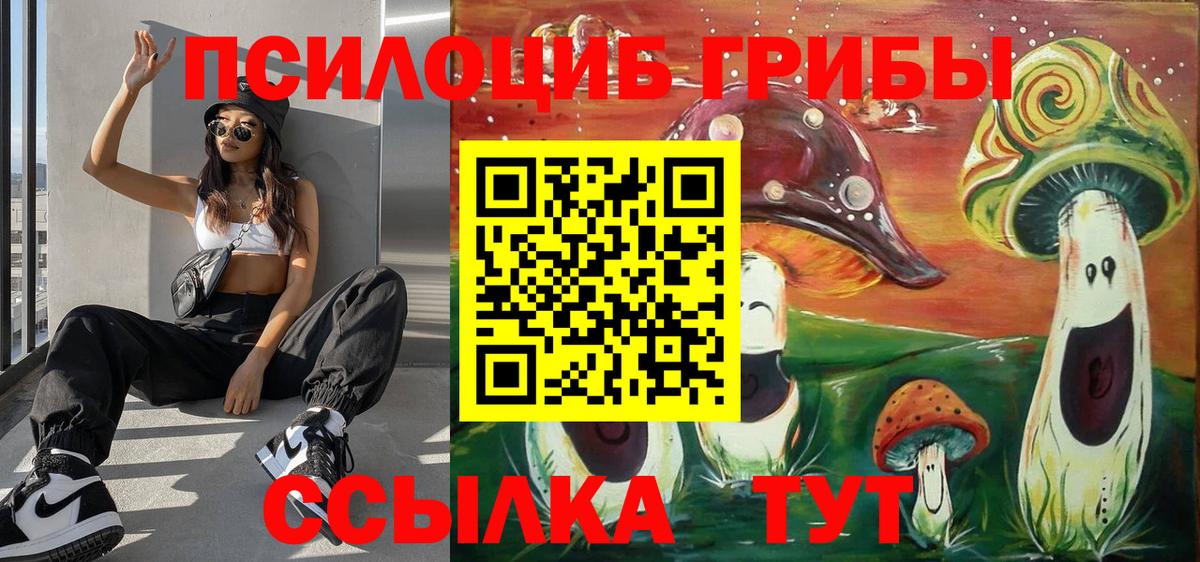 Свободный  Галлюциногенные грибы Psilocybe  Вход с VPN 