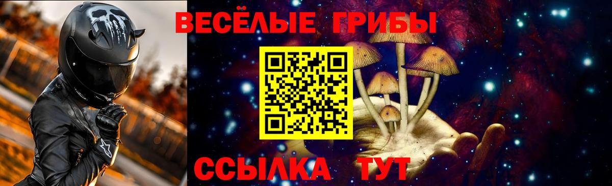 Галлюциногенные грибы MAGIC MUSHROOMS Свободный